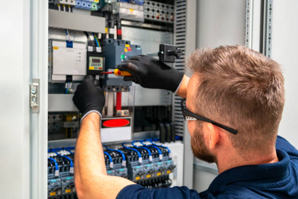 Best Electric Panel Repair  in Oakwood Hls, IL
